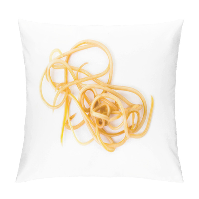 Personality  Helminthiasis Toxocara Canis (also Known As Dog Roundworm) Or Parasitic Worms From Little Dog On White Background, Pet Health Care Concept Pillow Covers