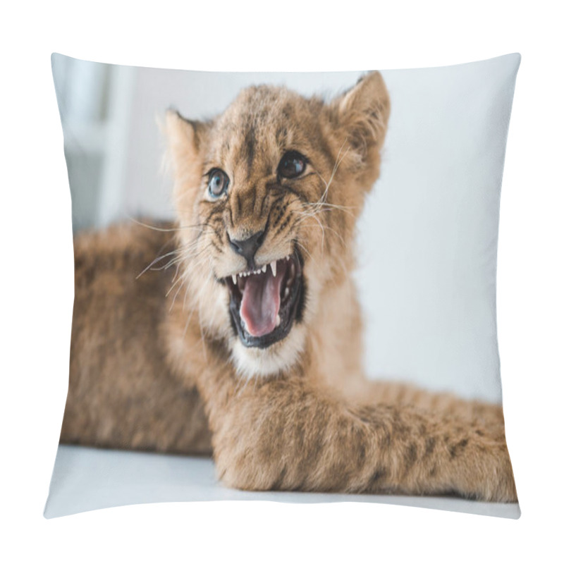 Personality  Cute Lion Cub Growling While Lying On Table In Veterinary Clinic Pillow Covers