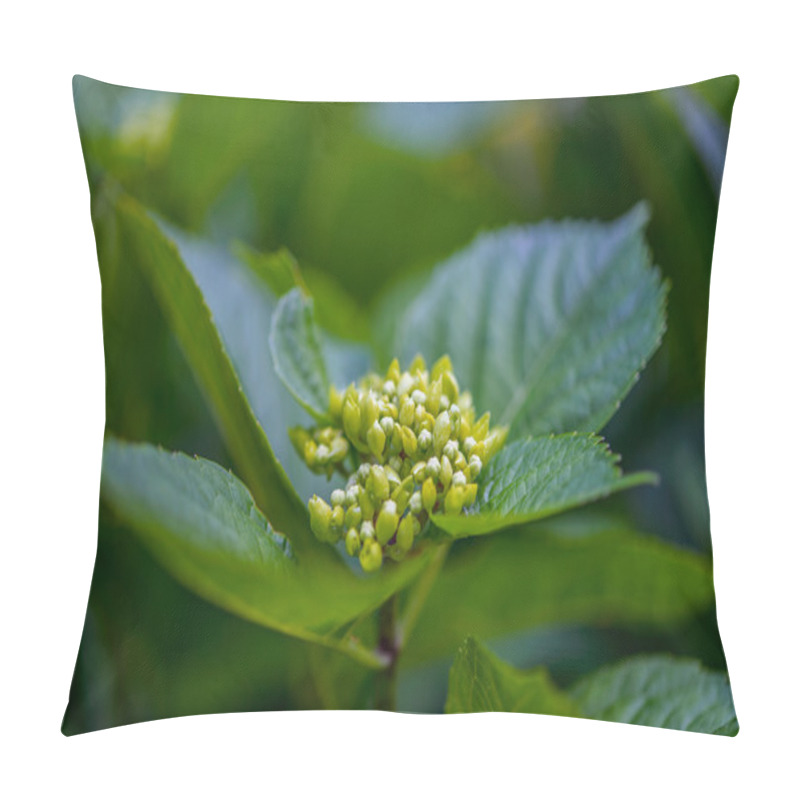 Personality  Sambucus Pillow Covers