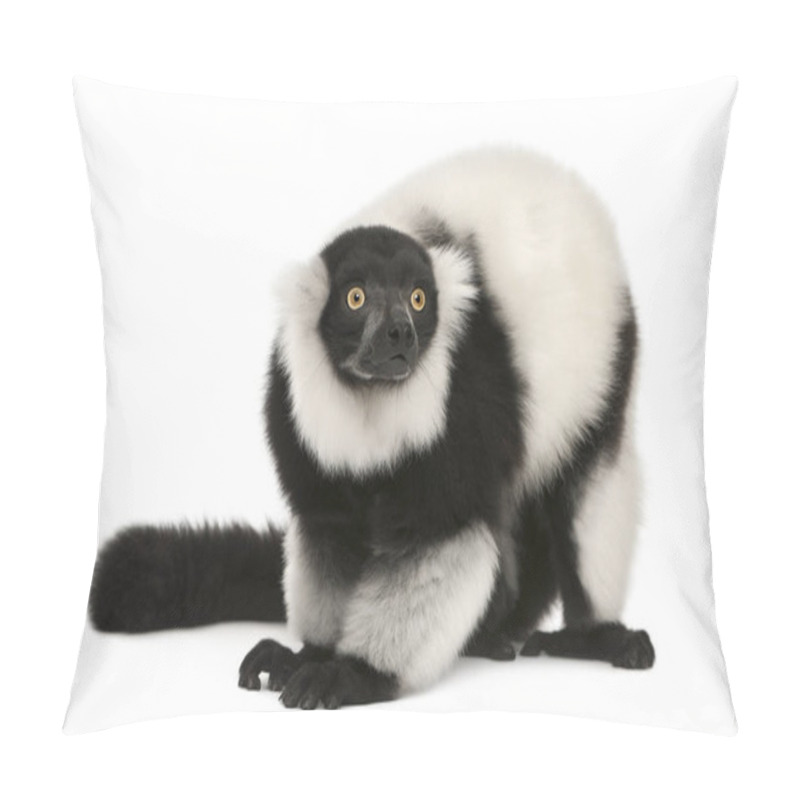 Personality  Black-and-white Ruffed Lemur, Varecia Variegata, 24 Years Old, I Pillow Covers