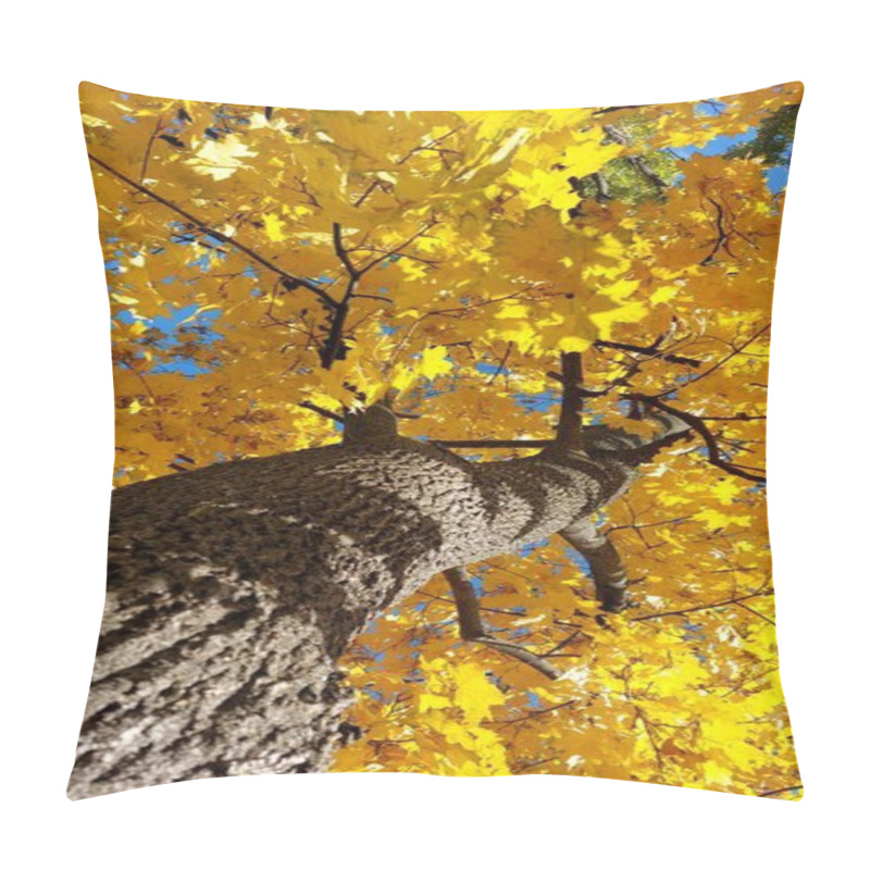 Personality  Golden Autumn Leaves With Tree Trunk Texture In Focus Pillow Covers