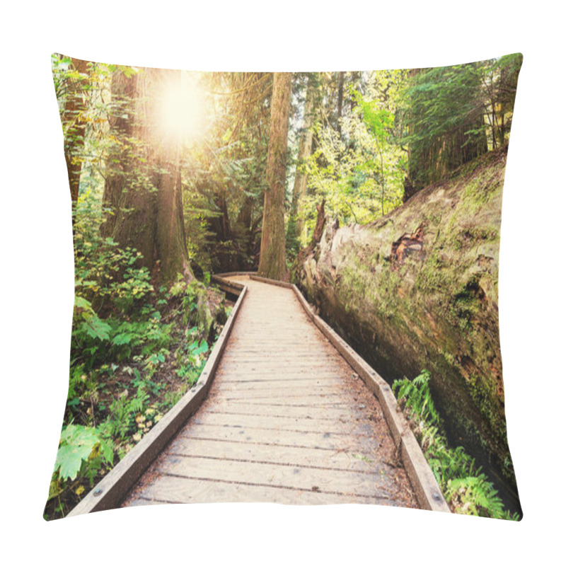 Personality  Boardwalk In Forest Pillow Covers