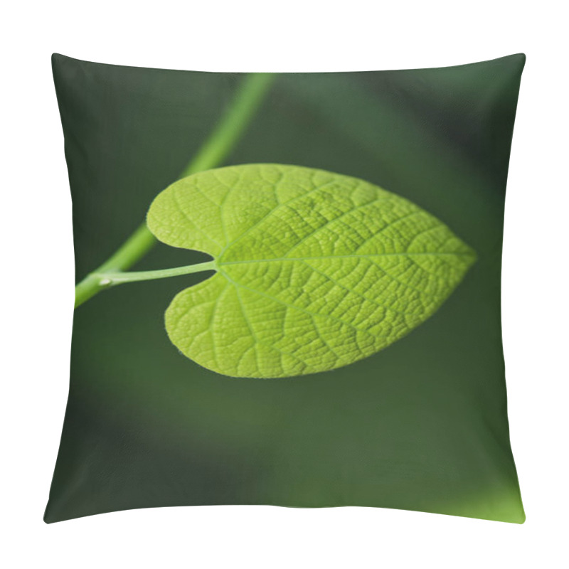 Personality  Green Plant Leaf In Form Of A Heart Pillow Covers