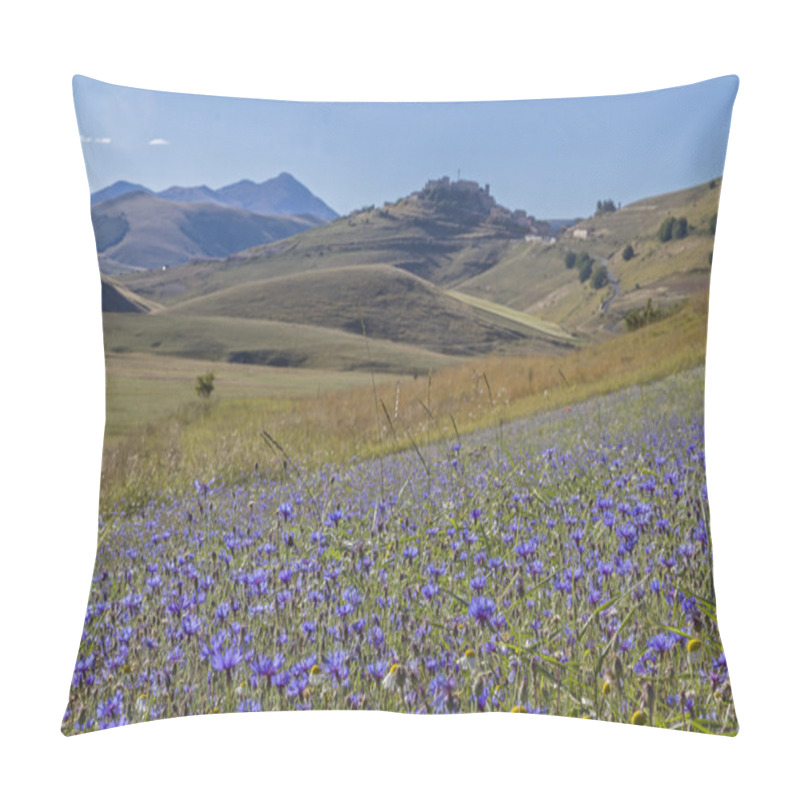 Personality  Flower Carpet In The Sibillini Pillow Covers