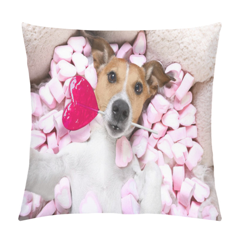 Personality  Jack Russell Dog Looking And Staring At You   ,while Lying On Bed Full Of Marshmallows As Background  , In Love, Pink Lolly Or Lollypop Pillow Covers