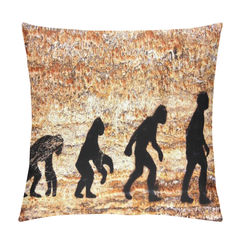 Personality  Human Avolution Pillow Covers