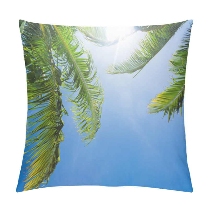 Personality  Sun Shining Through Palm Tree Leaves Pillow Covers