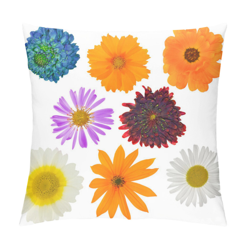 Personality  Eight Garden Isolated Flowers Pillow Covers