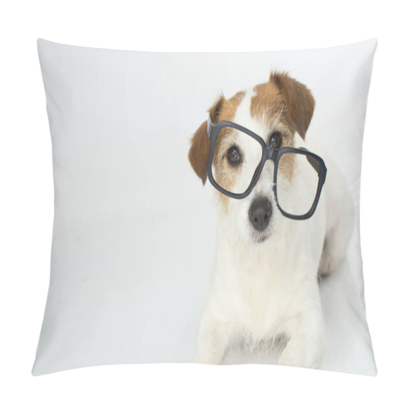 Personality  FUNNY AND INTELLECTUAL JACK RUSSELL DOG WEARING GLASSES ISOLATED ON WHITE BACKGROUND Pillow Covers