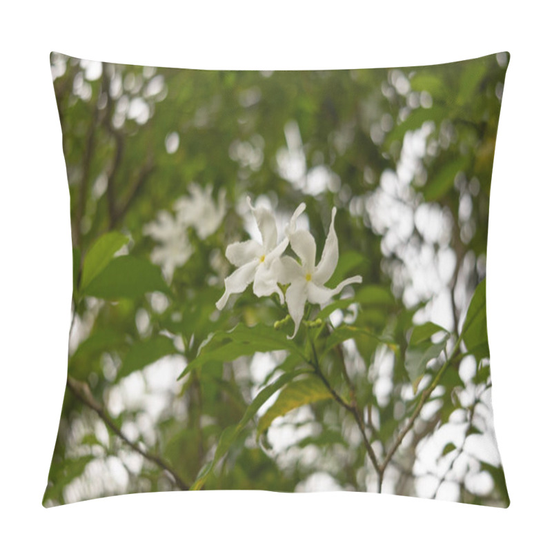 Personality  Delicate White Flowers Of The Pinwheel Jasmine Tabernaemontana Divaricata Bloom On A Green Branch Against A Natural Blurred Background. Pillow Covers