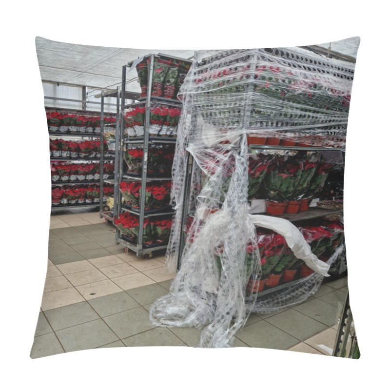 Personality  This Cc Wheeled Cart Is Ideal For Gardeners Who Need To Move A Lot Of Plants. The Customer Transports By Delivery From The Warehouse Wrapped In Plastic Foil Pillow Covers