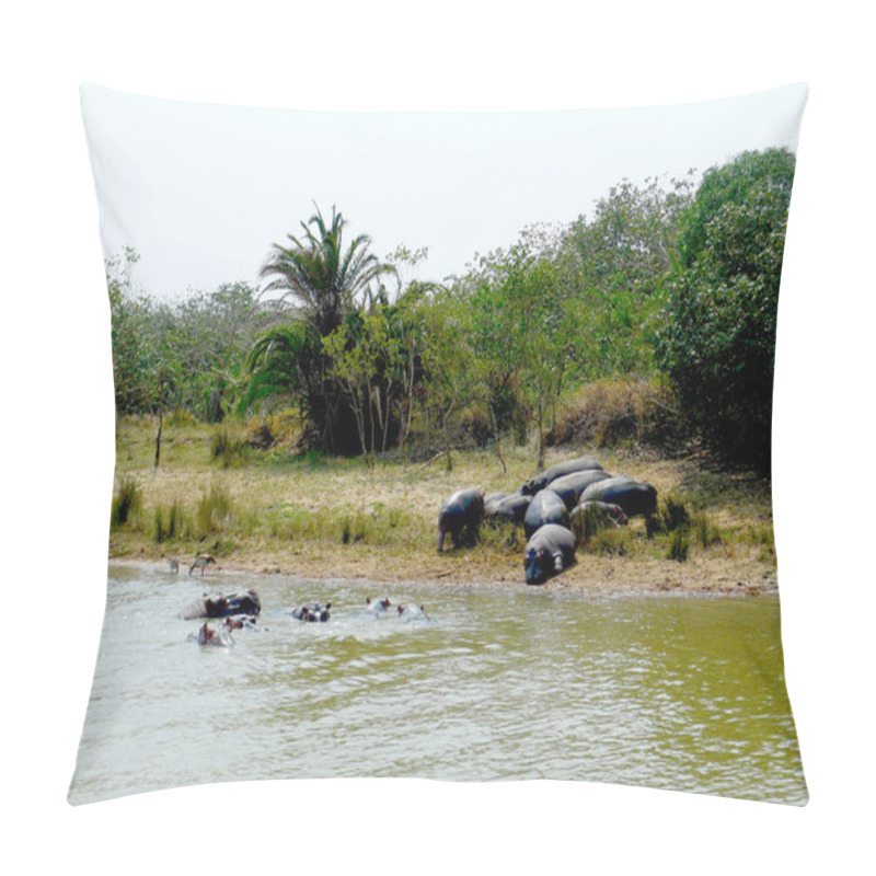 Personality  Family Of Hippos On St Lucia Lake, South Africa Pillow Covers