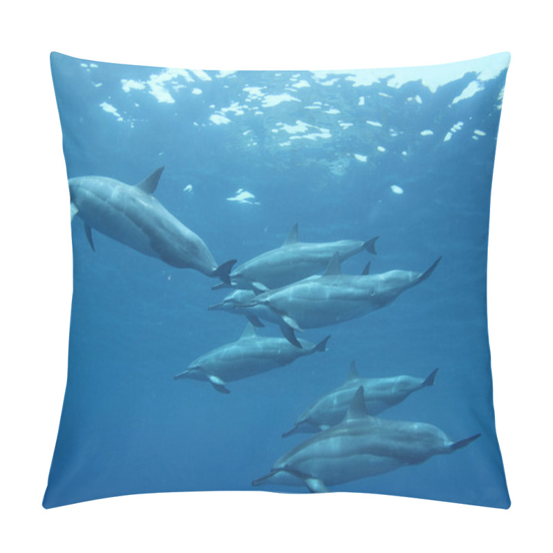 Personality  Spinner Dolphin Pillow Covers