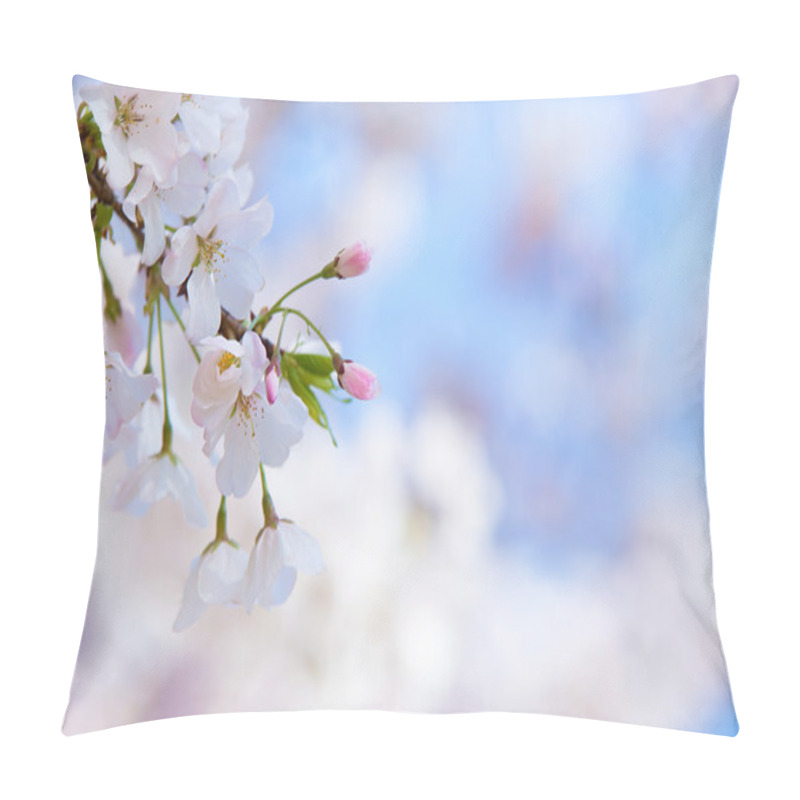 Personality  Closeup Of Cherry Tree Blossoms In Spring Pillow Covers