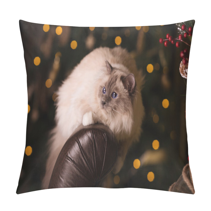 Personality  Cat. Christmans Party, Winter Holidays Cat With Gift Box. New Ye Pillow Covers