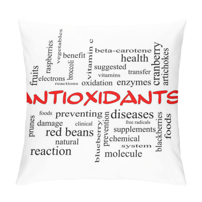 Personality  Antioxidants Word Cloud Concept In Red Caps Pillow Covers