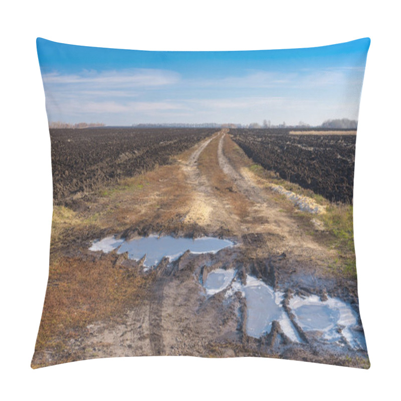 Personality  Autumnal Landscape With Agricultural Fields And Dirty Road In Central Ukraine Pillow Covers