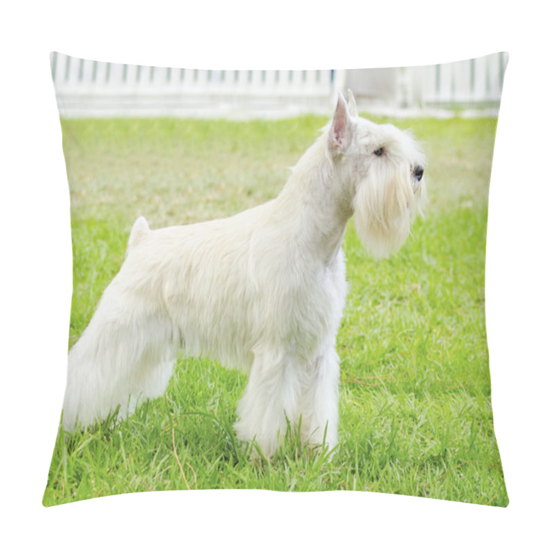 Personality  Miniature Schnauzer Pillow Covers