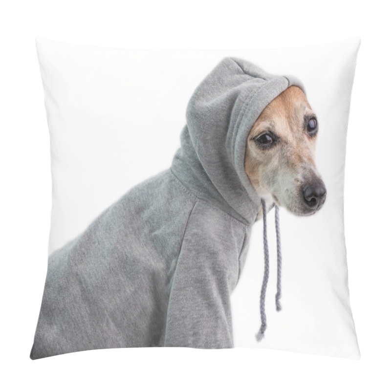 Personality  Dog In Gray Hoodie. Cute Dog Sport Clothes. Relaxed Life Attitude. White Background Pillow Covers