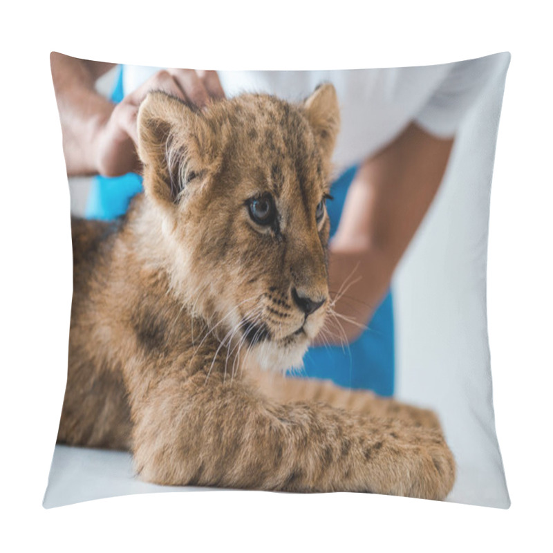 Personality  Cropped View Of Veterinarian Examining Adorable Lion Cub In Clinic Pillow Covers