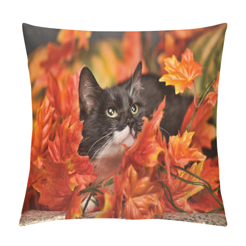 Personality  Black Cat With Orange Pumpkins And Autumn Leaves Pillow Covers