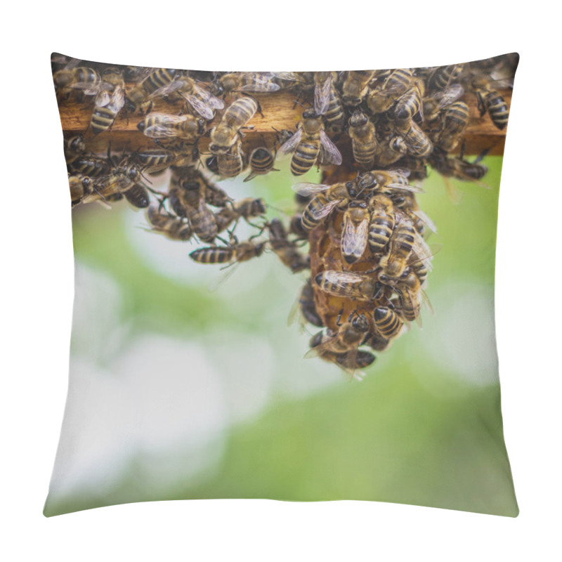 Personality  The Working Bees On Honey Cells In A Hive Pillow Covers