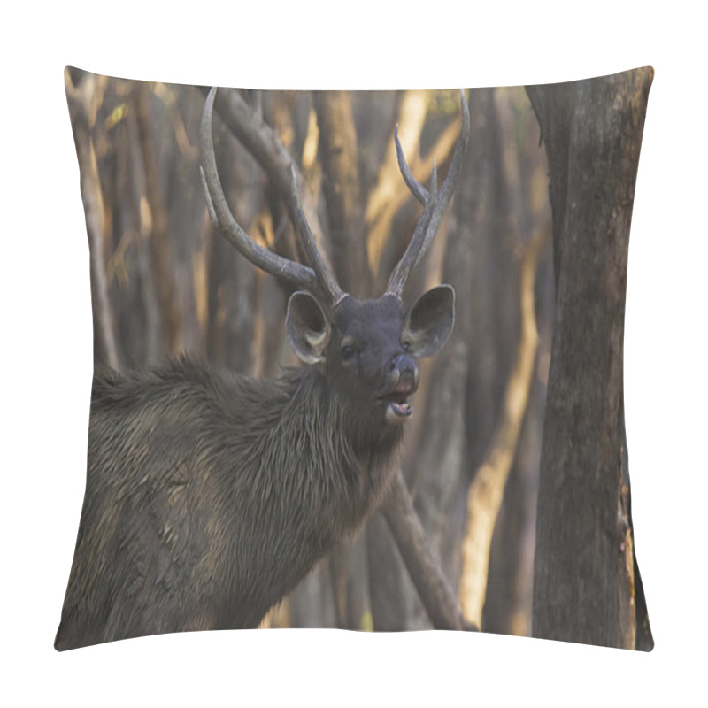 Personality  Sambar Deer At Ranthambhore Tiger Reserve, Rajasthan, India Pillow Covers