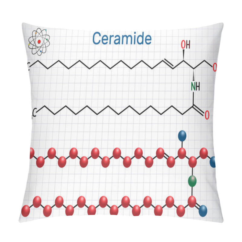 Personality  Ceramide Molecule ,  Is Composed Of Sphingosine And A Fatty Acid Pillow Covers