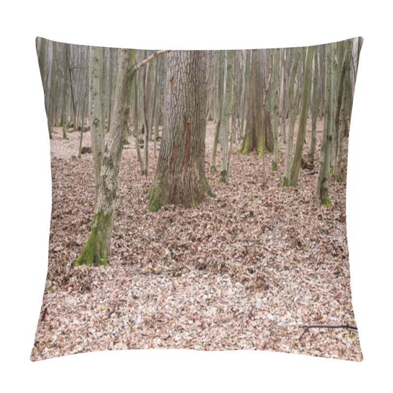 Personality  An Autumn Forest With A Bare Tree In The Middle, Covered With Fallen Leaves. The Bark Of The Trees Has Reddish Hues, The Ground Is Strewn With Dry Leaves. Pillow Covers