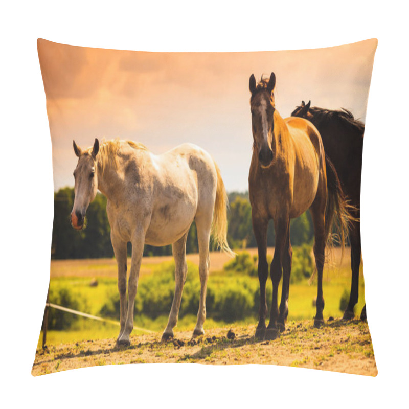 Personality  Horses Herd On Meadow Field During Summer Pillow Covers