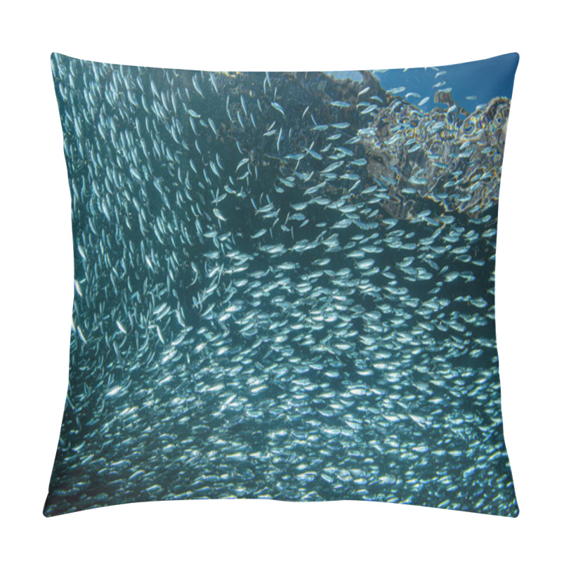 Personality  Inside A Giant Sardines School Of Fish Bait Ball Pillow Covers