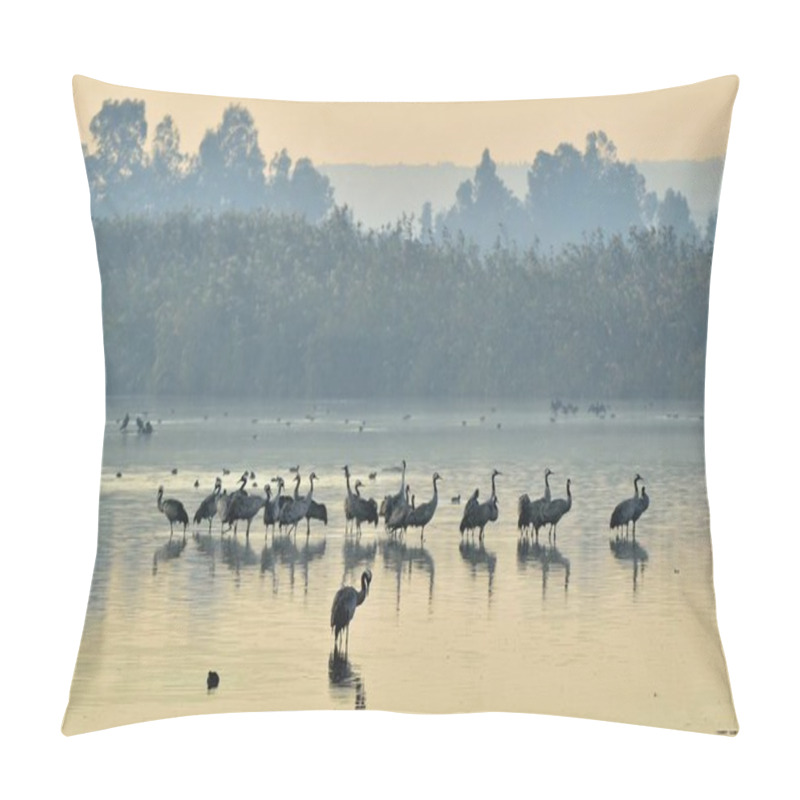 Personality  Cranes Flock At Sunrise Lake. Morning Landscape Of Hula Valley Reserve. Major Stopover For Birds Migrating Between Africa, Europe And Asia. North Of Israel.  Common Crane, Grus Grus, Eurasian Crane. Pillow Covers