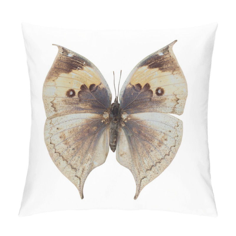 Personality  Deadleaf Butterfly Pillow Covers