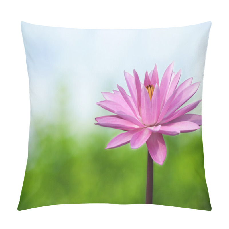 Personality  Lotus On Spring Background Pillow Covers