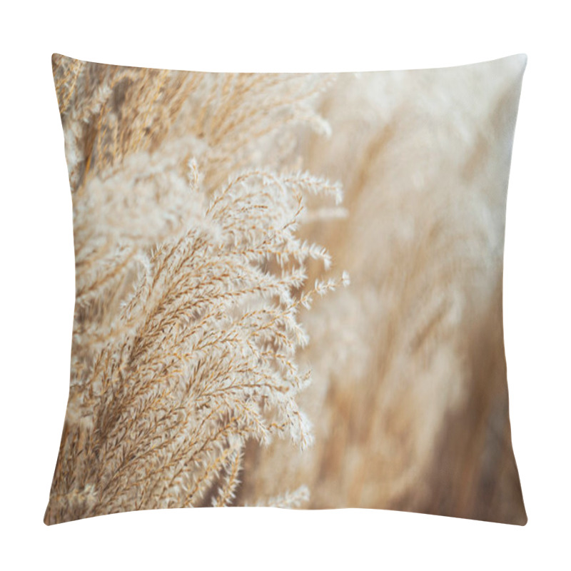 Personality  Close-up Of Pampas Grass Blades In Golden Tones. Depiction Of Warm Golden-hued Grasses, Emphasizing Their Delicate Texture And Soft, Blurred Backdrop. Soft, Golden Ornamental Pampas Grass In Focus Blades In Golden Tones Pillow Covers