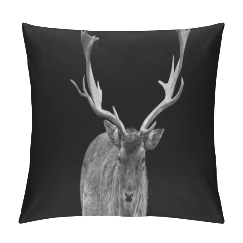 Personality  Deer Portrait In The Black Background Pillow Covers