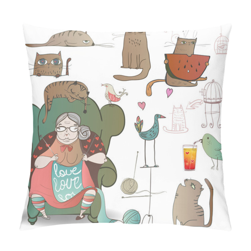 Personality  Granny, Birds And Cats Pillow Covers