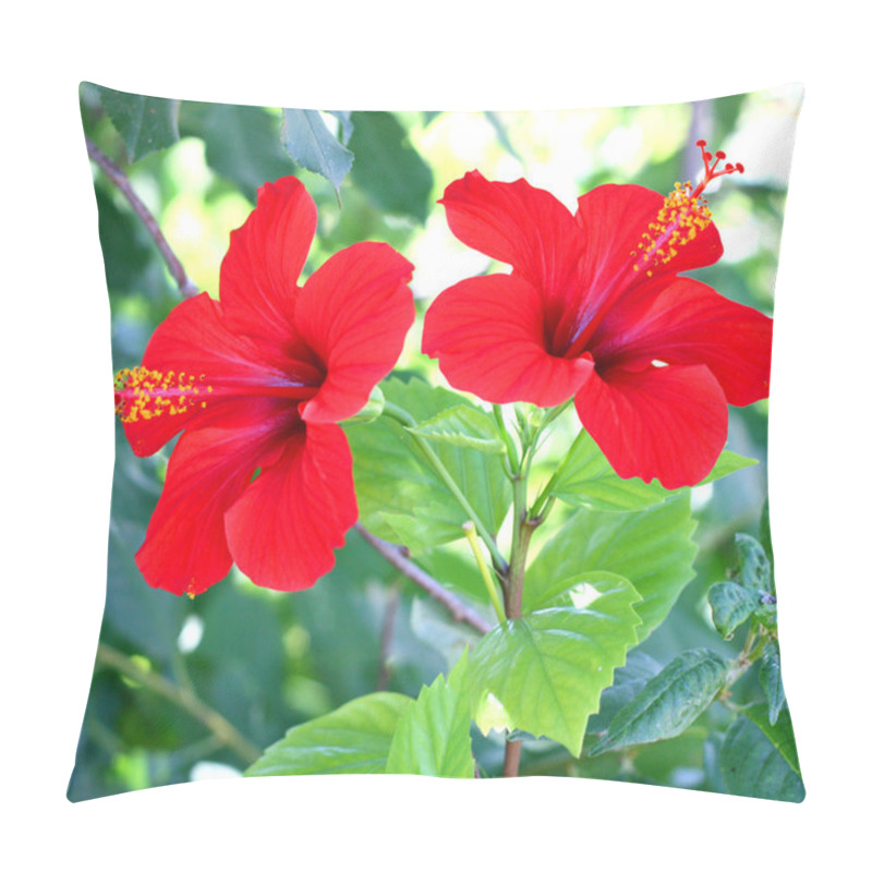 Personality  Red Hibiscus Pillow Covers