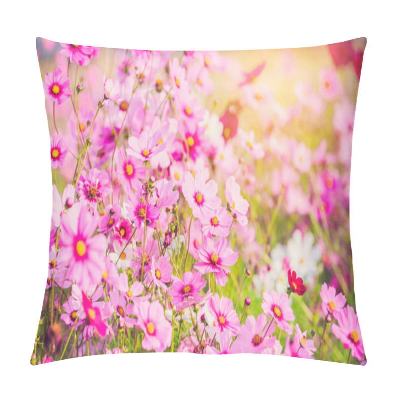 Personality  Pink Cosmos Bloom In The Garden Is Beautiful Pillow Covers