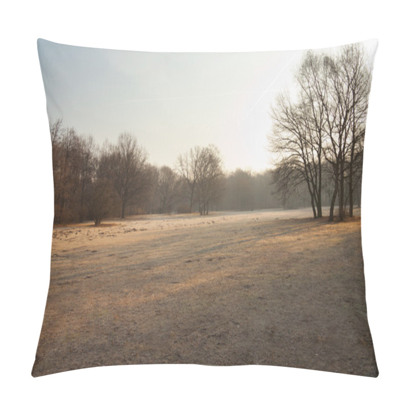 Personality  Field In Public Park In Berlin Pillow Covers