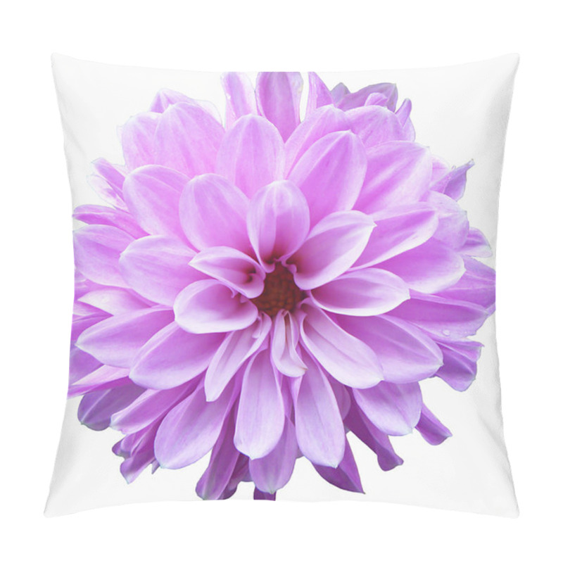 Personality  Flower Of The Dahlia At Solar Day Insulated On White Background Pillow Covers