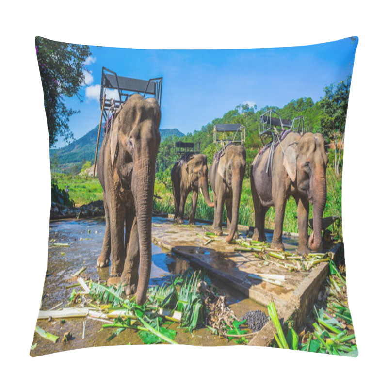 Personality  Farm Of Elephants Near Dalat Pillow Covers