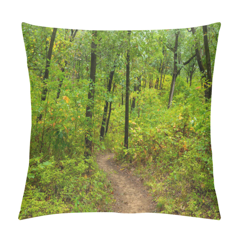 Personality  Autumn Landscape Along The Cowles Bog Trail On A Rainy Morning.  Indiana Dunes National Park, Indiana, USA Pillow Covers