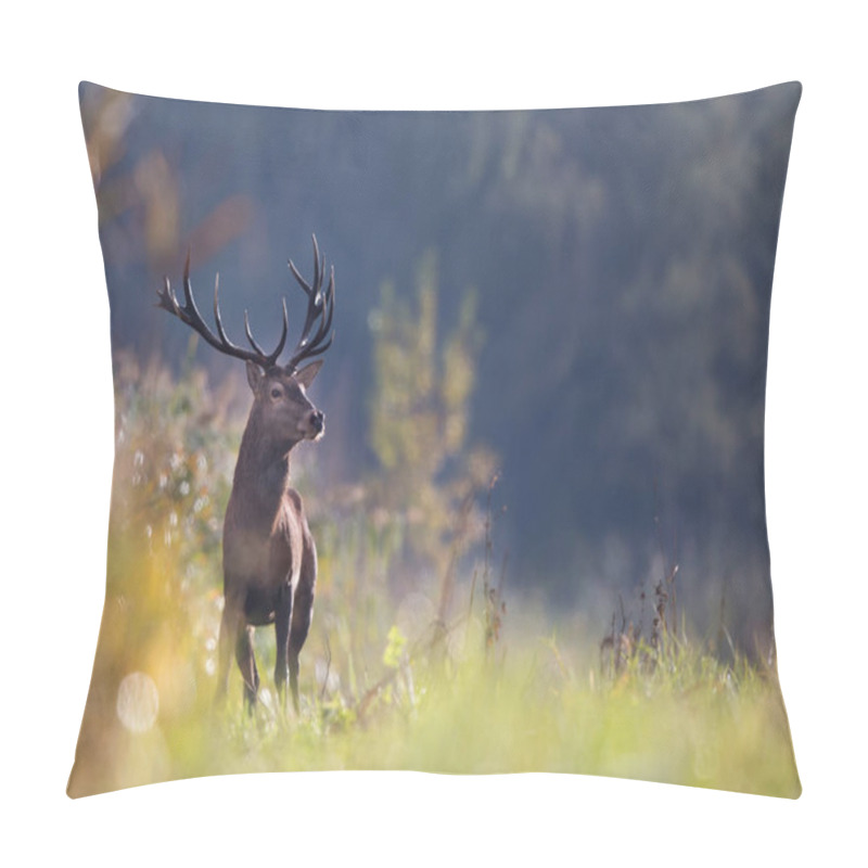 Personality  Red Deer In Forest Pillow Covers