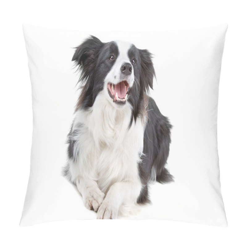 Personality  Black And White Border Collie Dog Pillow Covers