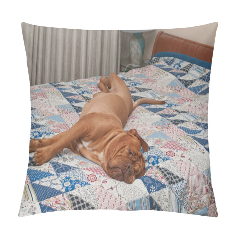 Personality  Dog Of Dogue De Bordeaux Breed Lying On The Bed With Handmade Quilt Pillow Covers