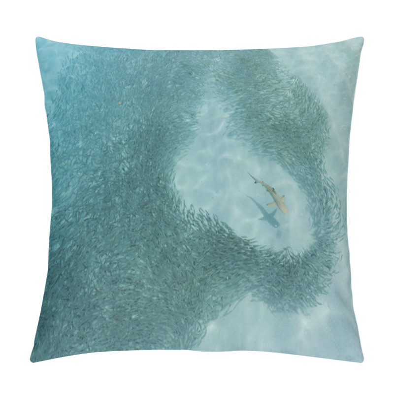 Personality  Reef Shark Moves Through A Shoal Of Fish Hunting Pillow Covers