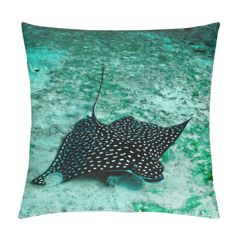 Personality  Eagle Ray Pillow Covers