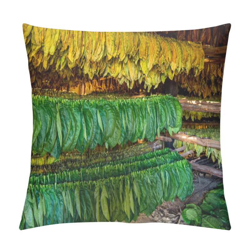 Personality  Tobacco Leaves Drying Pillow Covers