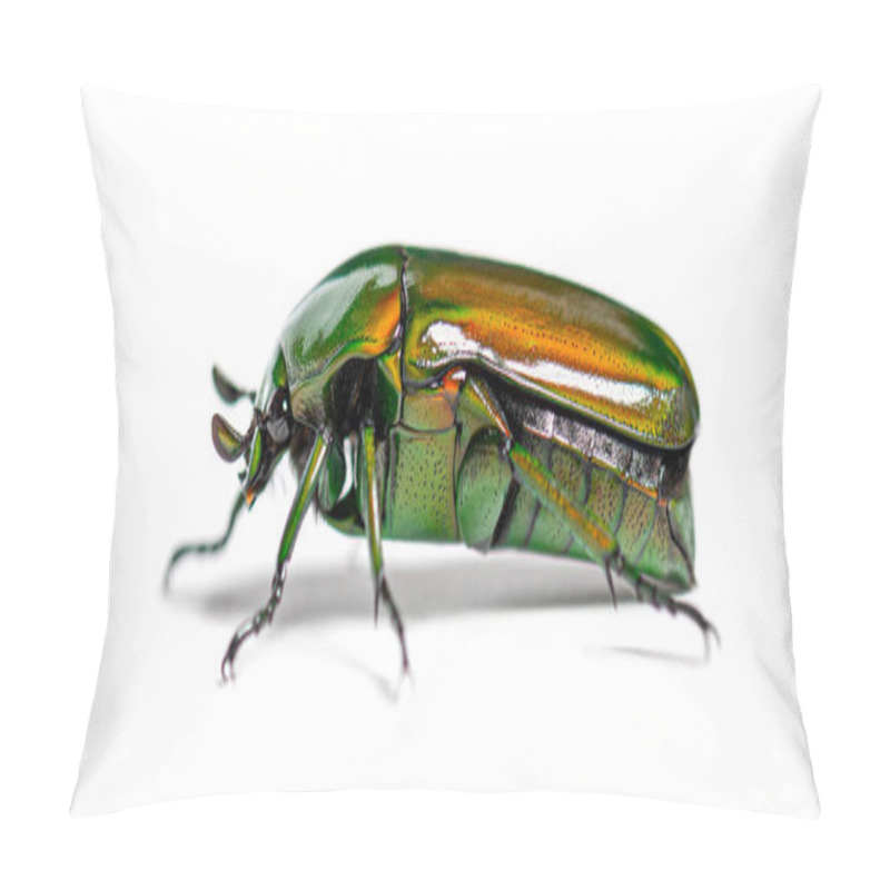 Personality  Green Flower Beetle, Chlorocala Africana, Isolated On White Pillow Covers